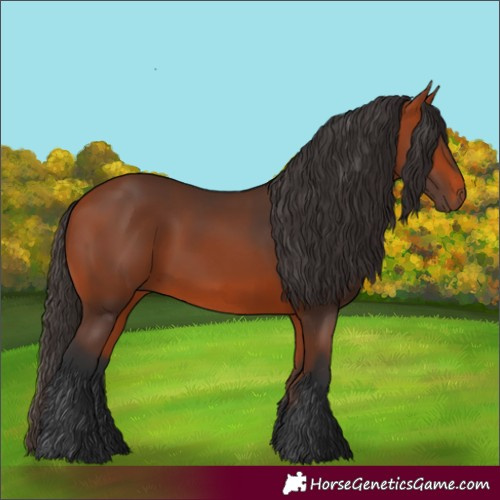 Horse Color:Bay Rabicano 