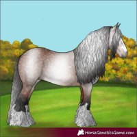 Horse Color:Gray Bay