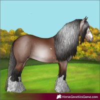 Horse Color:Gray Bay 