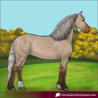 Horse Color:Silver Brown Dun Rabicano