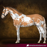 Horse Color:Chestnut Splash Frame 