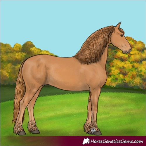 Horse Color:Chestnut Rabicano