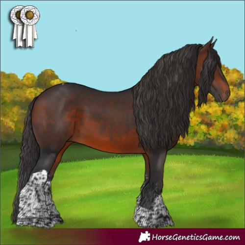 Horse Color:Brown Sabino Tobiano 