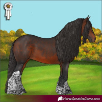 Horse Color:Brown Sabino Tobiano