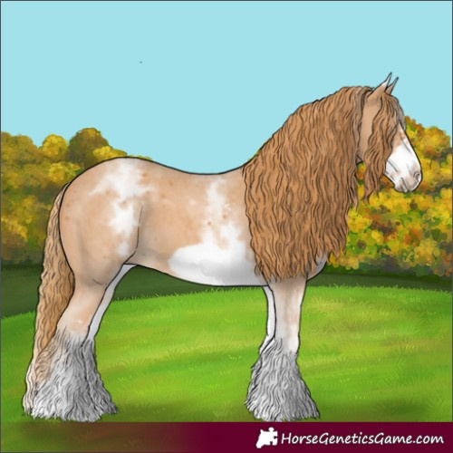 Horse Color:White Spotted Chestnut Sabino Frame 