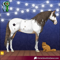 Horse Color:Buckskin Near Fewspot 