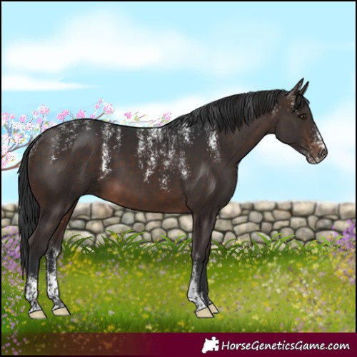 Horse Color:Powder White Brown 