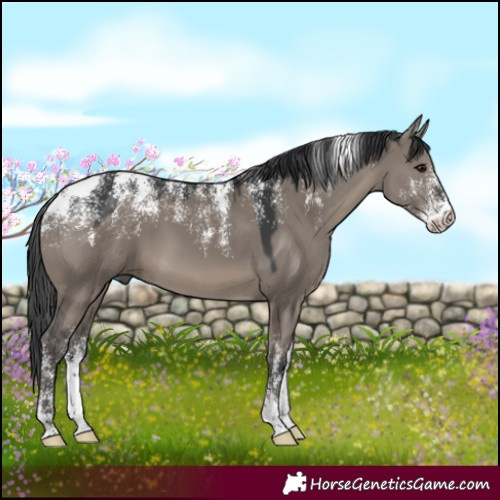 Horse Color:Powder White Platinum Grullo 