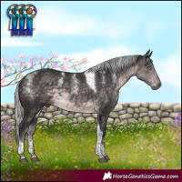 Horse Color:Powder White Platinum Silver Buckskin Tobiano