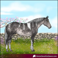 Horse Color:Powder White Platinum Silver Buckskin Tobiano