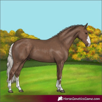 Horse Color:Silver Black 