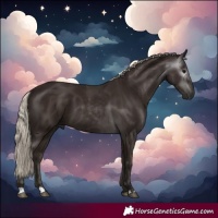 Horse Color:Gray Silver Black 