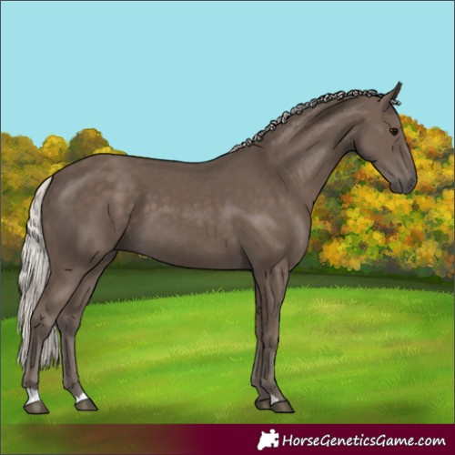 Horse Color:Silver Black 