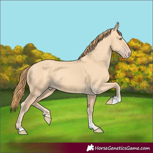 Horse Color:Gold Champagne Dun 