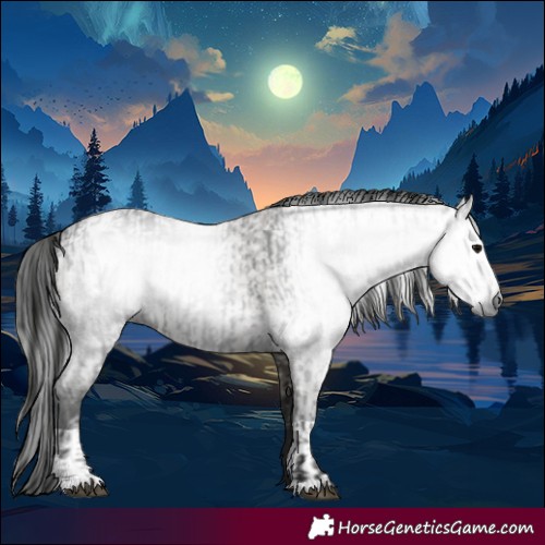 Horse Color:Gray Smoky Black  and Gray Smoky Grullo 