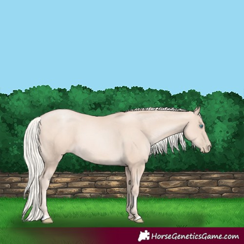 Horse Color:Gold Cream Champagne Pearl 