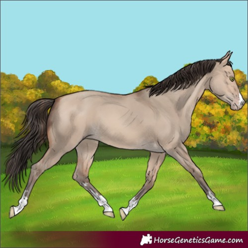 Horse Color:Amber Champagne Dun 