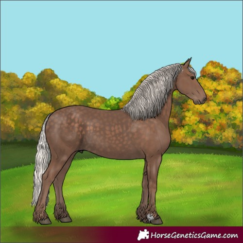 Horse Color:Silver Black 