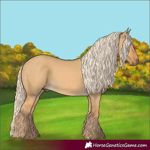 Horse Color:Palomino Dun