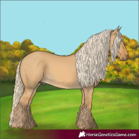 Horse Color:Palomino Dun