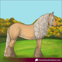Horse Color:Palomino Dun