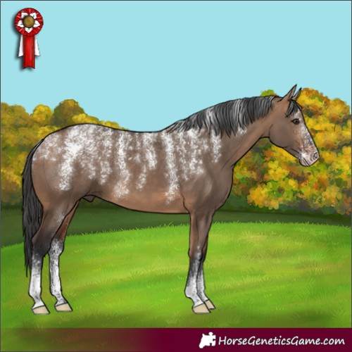 Horse Color:Powder White Bay Dun 