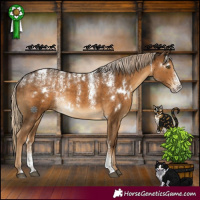 Horse Color:Powder White White Spotted Chocolate Palomino 