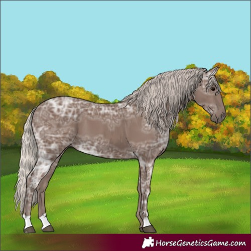 Horse Color:Silver Black Ice 