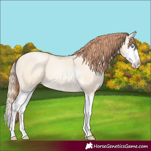 Horse Color:Classic Cream Champagne Pearl Dun Sabino Splash 