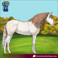 Horse Color:Classic Cream Champagne Pearl Dun Sabino Splash
