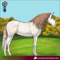 Horse Color:Classic Cream Champagne Pearl Dun Sabino Splash