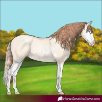 Horse Color:Classic Cream Champagne Pearl Dun Sabino Splash 