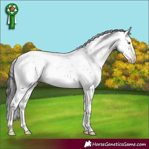 Horse Color:Buckskin Dun Mushroom Sabino Splash
