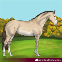 Horse Color:Classic Cream Champagne Dun Sabino Rabicano 