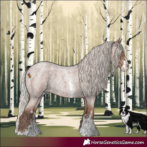 Horse Color:Silver Blue Roan Sabino 