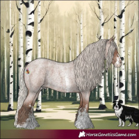 Horse Color:Silver Blue Roan Sabino