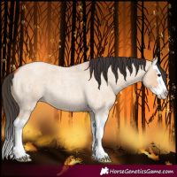 Horse Color:Bay Roan Dun Splash 