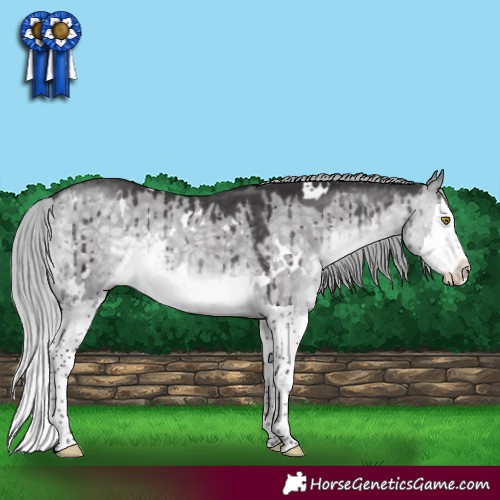 Horse Color:Platinum White Spotted Silver Buckskin Dun Splash Rabicano Brindle 