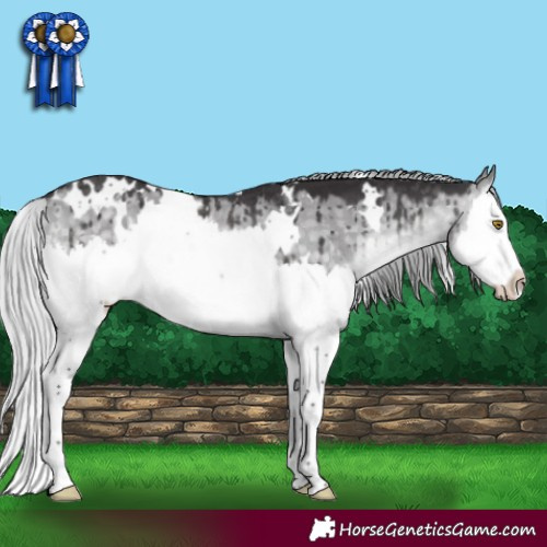 Horse Color:Platinum White Spotted Silver Buckskin Dun Splash Rabicano Brindle 