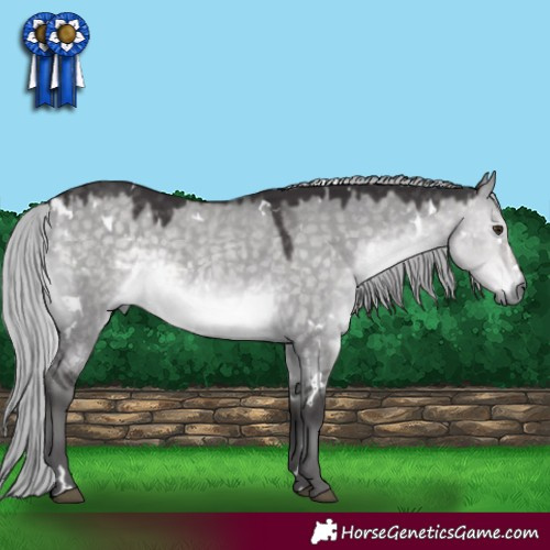 Horse Color:Platinum White Spotted Silver Buckskin Dun Rabicano 