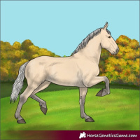 Horse Color:Silver Buckskin 