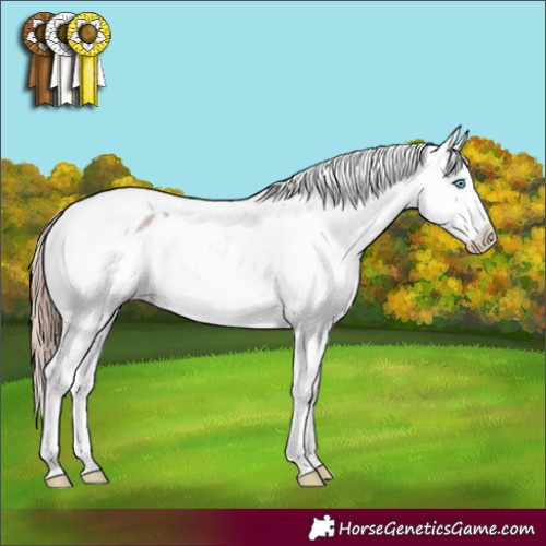 Horse Color:Liver Red Dun Splash Tobiano Varnish Rabicano 