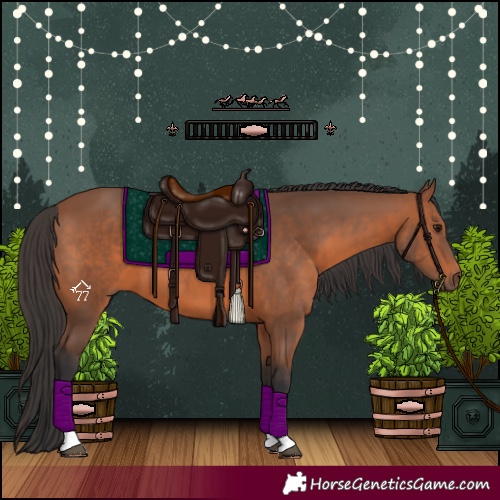 Horse Color:Bay Tobiano