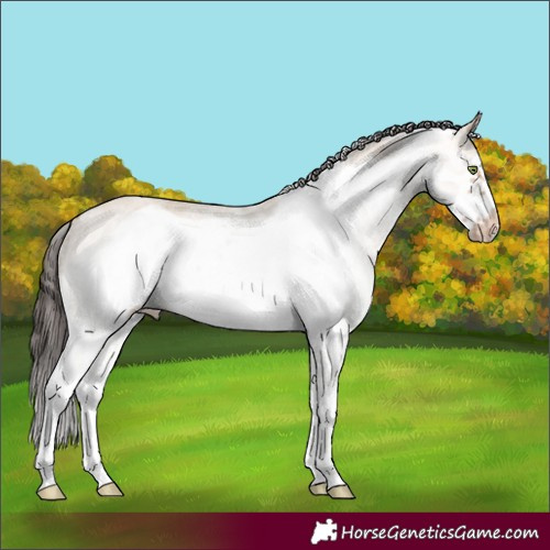 Horse Color:White Spotted Amber Champagne Dun Frame 