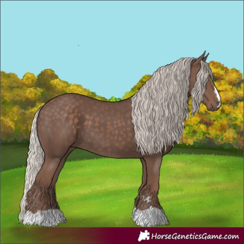 Horse Color:Silver Black 
