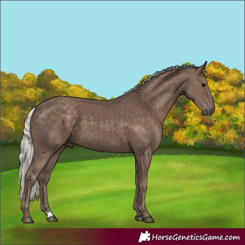 Horse Color:Silver Black 