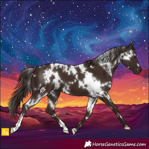 Horse Color:White Spotted Liver Chestnut