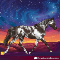 Horse Color:White Spotted Liver Chestnut 