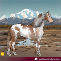 Horse Color:Gray White Spotted Chestnut 