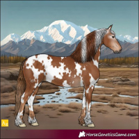 Horse Color:Gray White Spotted Chestnut 